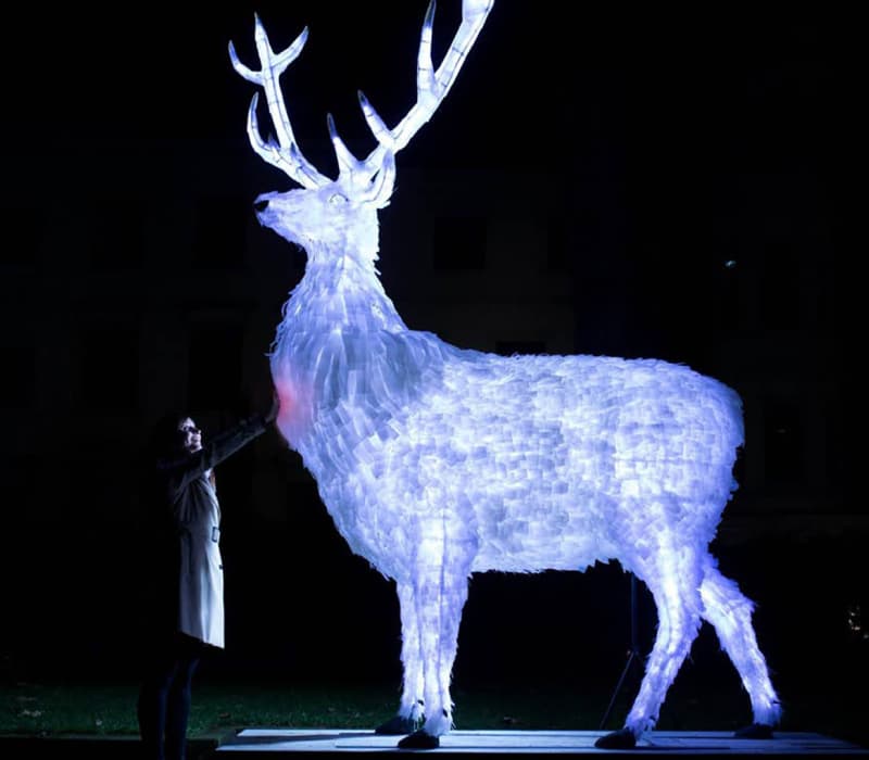 A photo of the Hart of London stag sculpture, with a glowing red heart